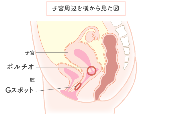 中イキしたい女性におすすめのバイブ16選！ おもちゃの選び方や注意点も紹介 |