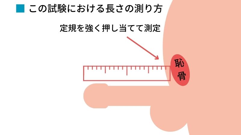 コラム】チン長って大事？ 日本人の平均チン長から読み解く「本当に大事なもの」 - 性癖マッチンコラム