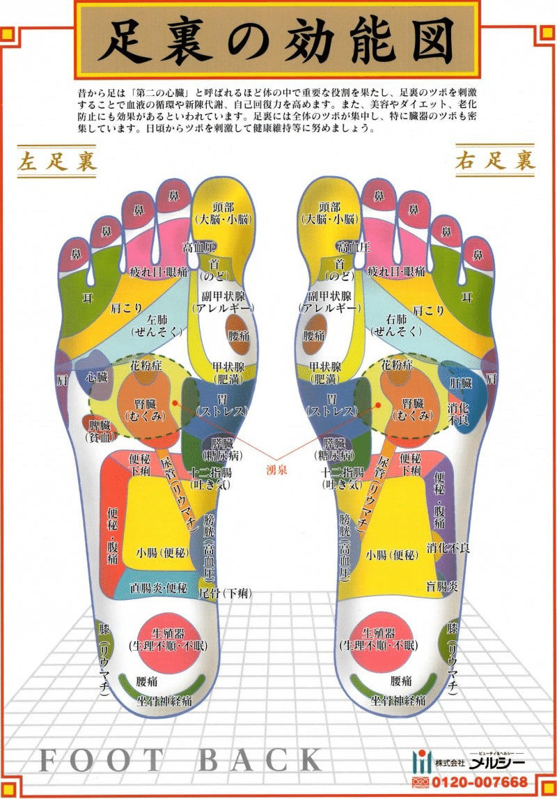 広島県広島市中区東白島町の癒し/マッサージ一覧 - NAVITIME