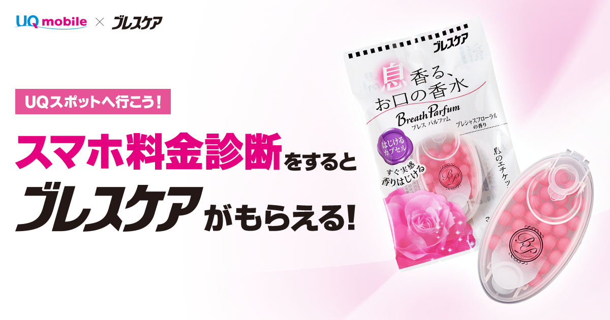 小林製薬 ブレスケア 腫れぼったい ミント 50粒【お口のニオイ/口臭予防】