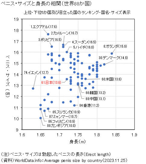 平均的なペニスの大きさを身近なものと比較しまくってみるとこうなる - GIGAZINE