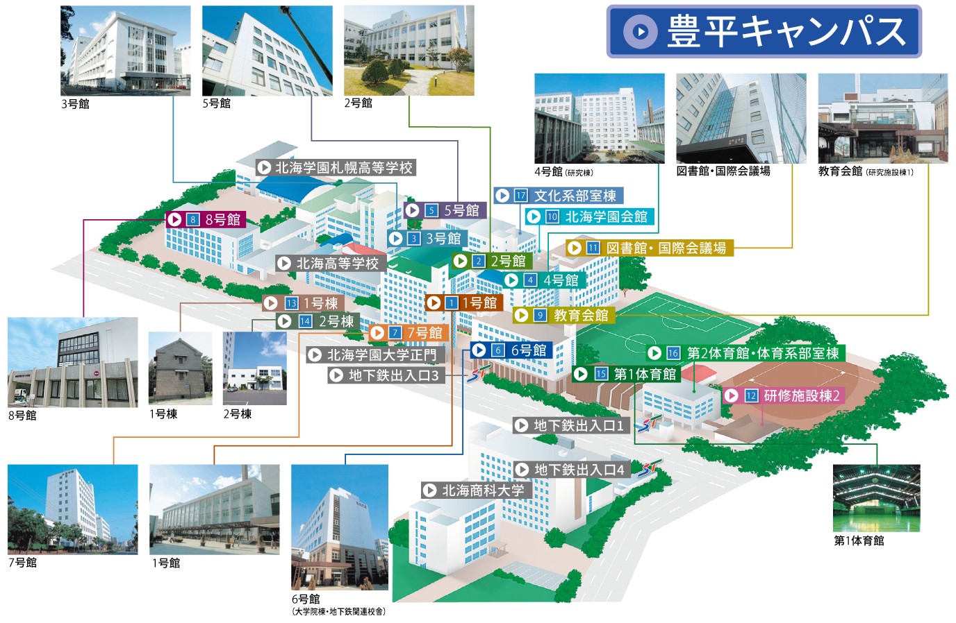 豊平川の河川敷の鳥 ２０１２年７月１日 : 自然の中に出かけて・・・