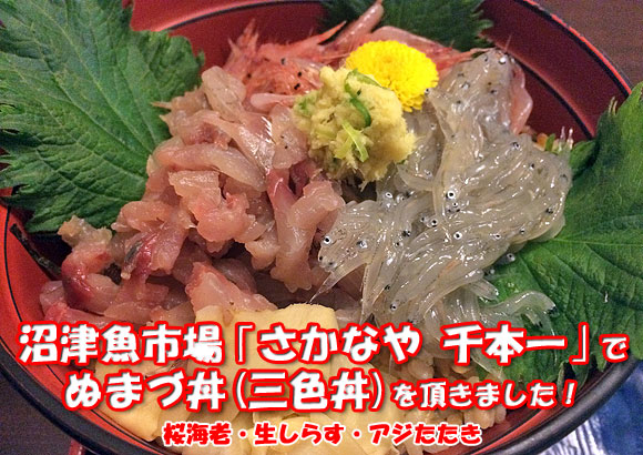 沼津港「たか嶋」の”刺身定食1,090円”がマジでオススメ過ぎる！（2019年閉店） | 富嶽はなぶさ3代目ブログ