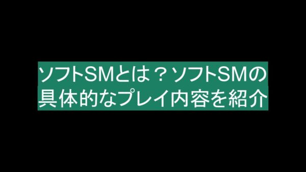 ウマ娘 #サトノダイヤモンド(ウマ娘) サトノダイヤモンドがやたらSMプレイがどんな物かと問い詰めてく -