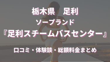 バスコレ走行システム トヨタSORA動力セット ＜東武バスウエスト仕様＞｜製品をさがす｜ジオコレ