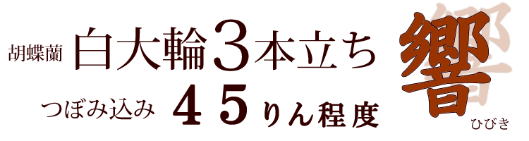 りん風りん 奏・響 -