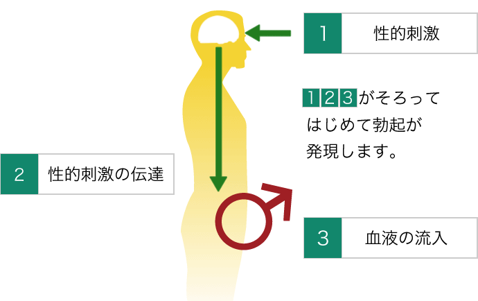 オナ禁」で得られる効果やメリットのほとんどは嘘！本当の効果とは？【医師監修】 | 新橋ファーストクリニック【公式】