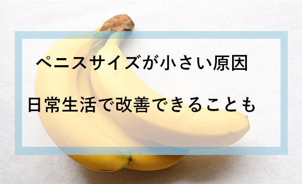 でかいちんこの基準とは？日本人平均や大きくする方法を解説 |【公式】ユナイテッドクリニック