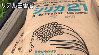 楽天市場】 微生物・ミネラル関連商品 > ［プロ農家用］ケイ酸資材 :