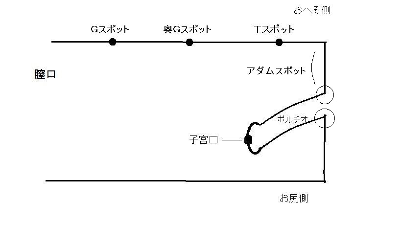 ウテルス子宮挿入法 名器の秘密・至高のセックス(まえの忠義) / 古本、中古本、古書籍の通販は「日本の古本屋」 /