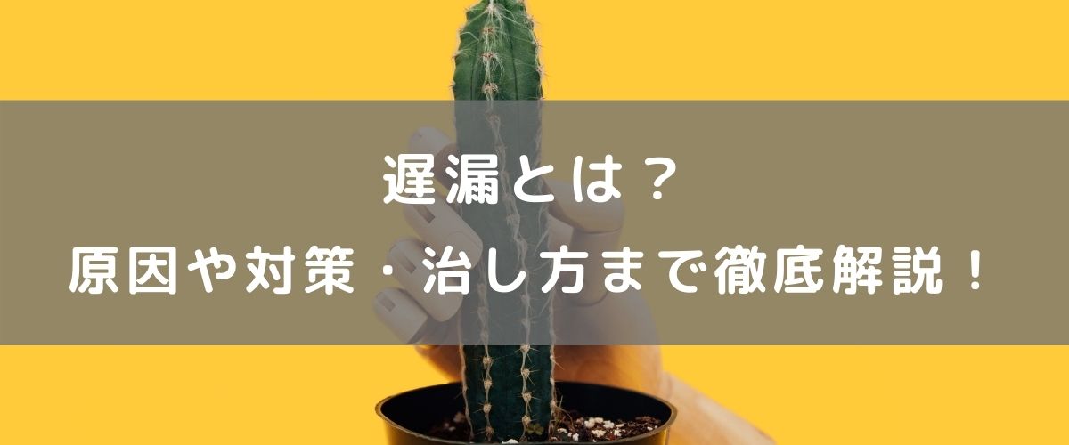 遅漏用】 タイミングトレーナー 繰り返し使える遅漏トレーニング TIMING