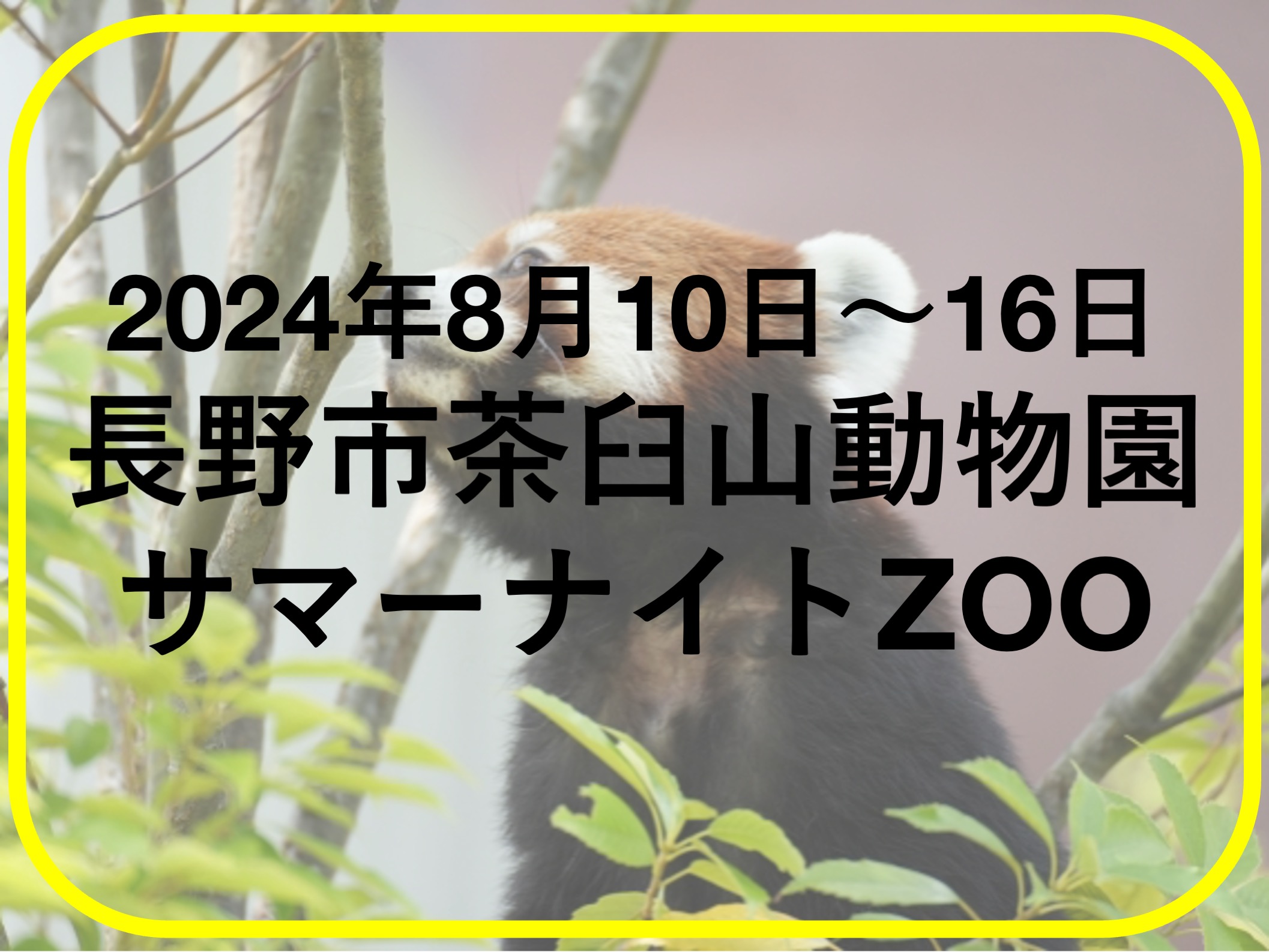 長岡・三条のキャバクラ・クラブの週間お店アクセスランキング [新潟ナイトナビ -