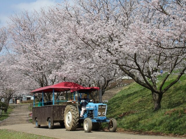 成田ゆめ牧場の今日・明日の天気 週末の天気・紫外線情報【お出かけスポット天気】 - 日本気象協会 tenki.jp