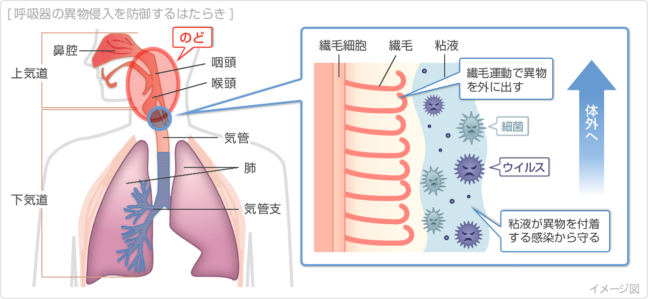 夫の風邪が移ったのか、喉が痛い…！ でもそんな日に食べたからあげクンレギュラー味が 今までで一番美味しく感じた…！ からあげクンはいつも一口で食べてたけど、