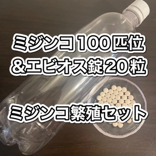 薬剤師が教える】プロの整腸剤おすすめと選び方徹底ガイド！ | 便秘解消プロジェクト