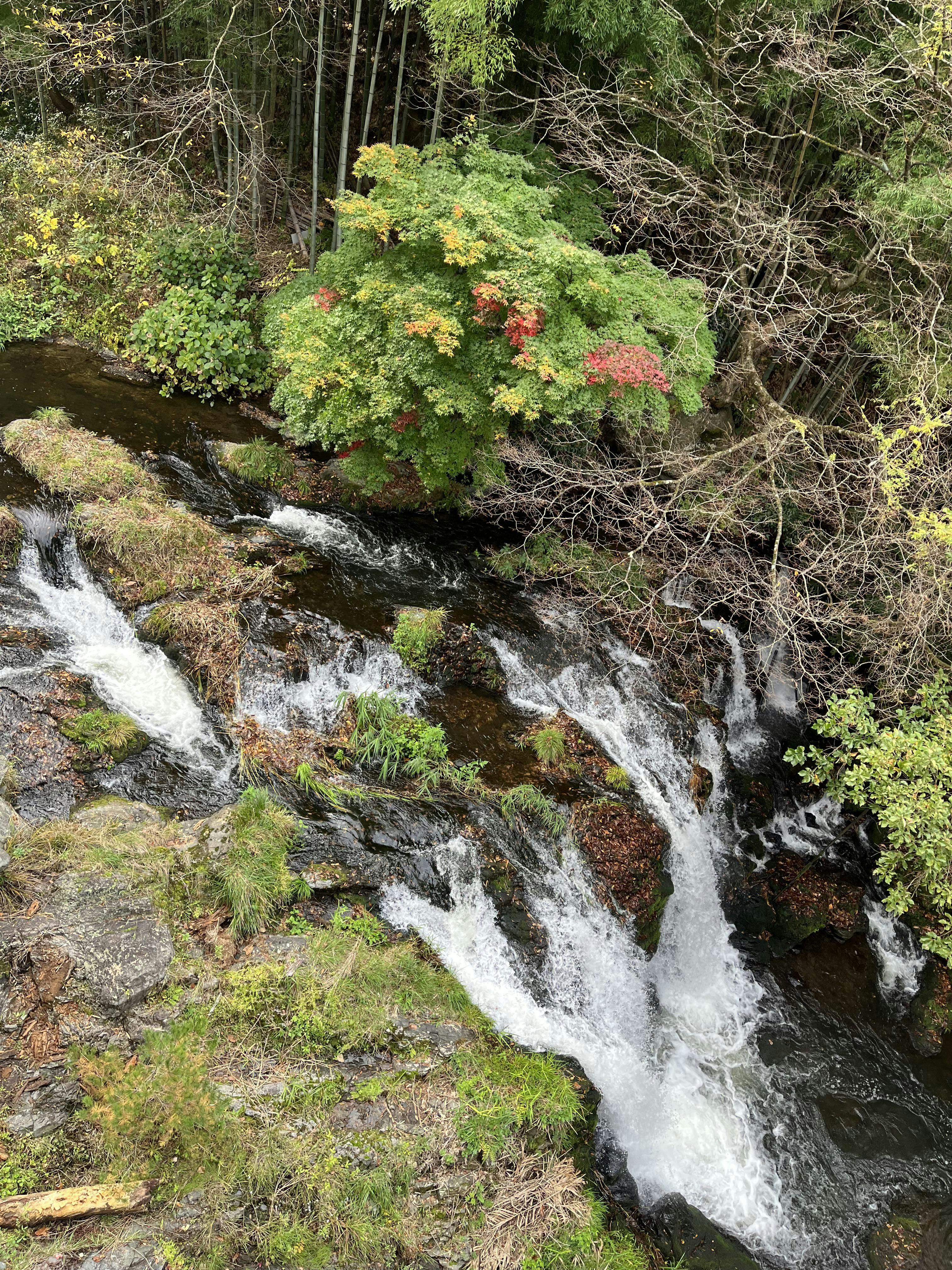 東山温泉 庄助の宿 瀧の湯(会津若松)の口コミ情報「東山温泉の美宿」(2018年05月11日