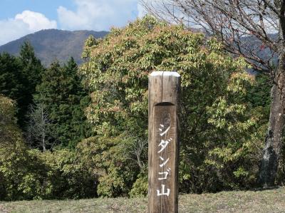 大浣腸祭りスピンオフ企画 アナル祭り in DX歌舞伎町（新宿）