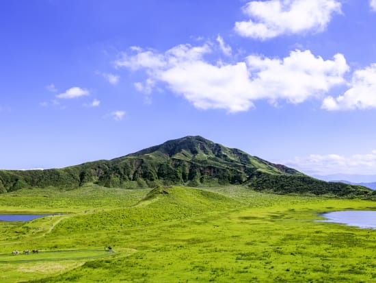 熊本県産い草ラグ マット191×250ｃｍ 3畳サイズ