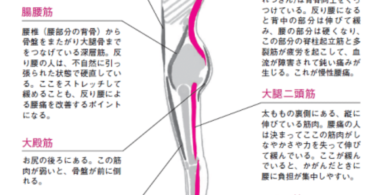 施術】ふれる部位・ふれない部位 | 鍼灸マッサージ院 ゆるツボ