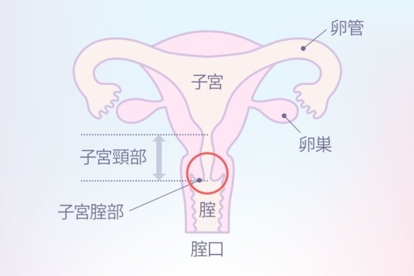 装着バイブ 2点責め 女性用 中イキ