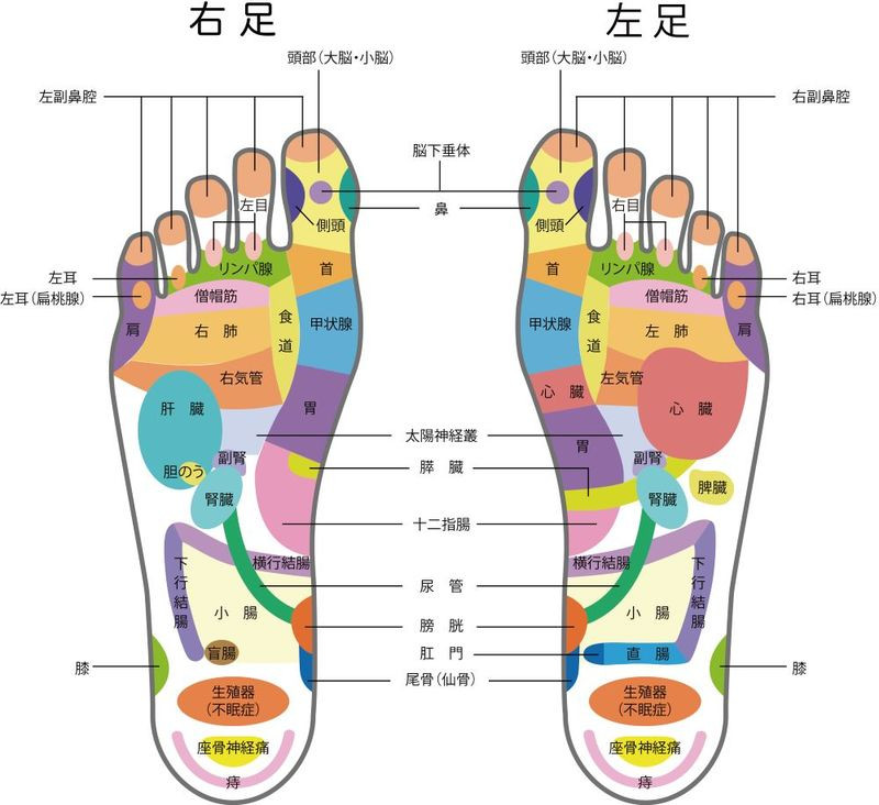 足 裏（足ツボ） マッサージを勉強したい！そんな方向けの資格