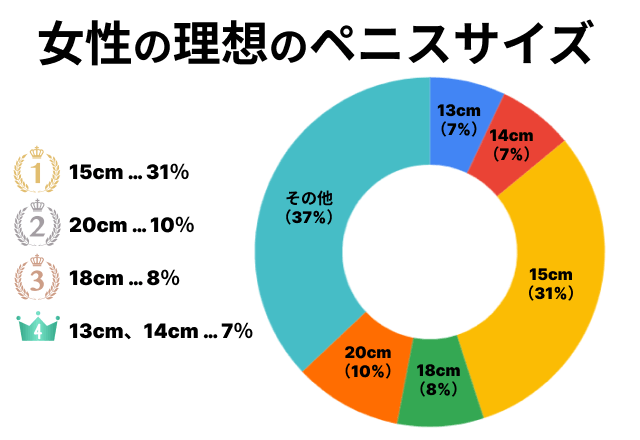 ペニスのサイズ比較