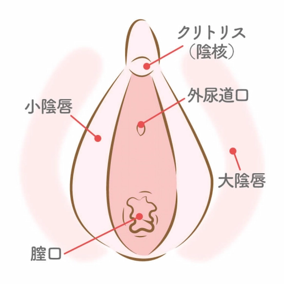 中イキする膣の開発方法3つ ！ イク体になれるGスポットのオナニーもご紹介 |