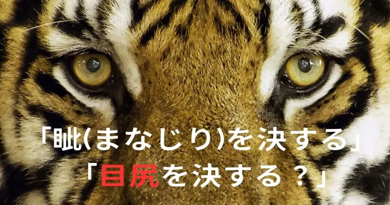 白羽の矢が立つ」の意味と正しい使い方 – 誤用の解説付き |