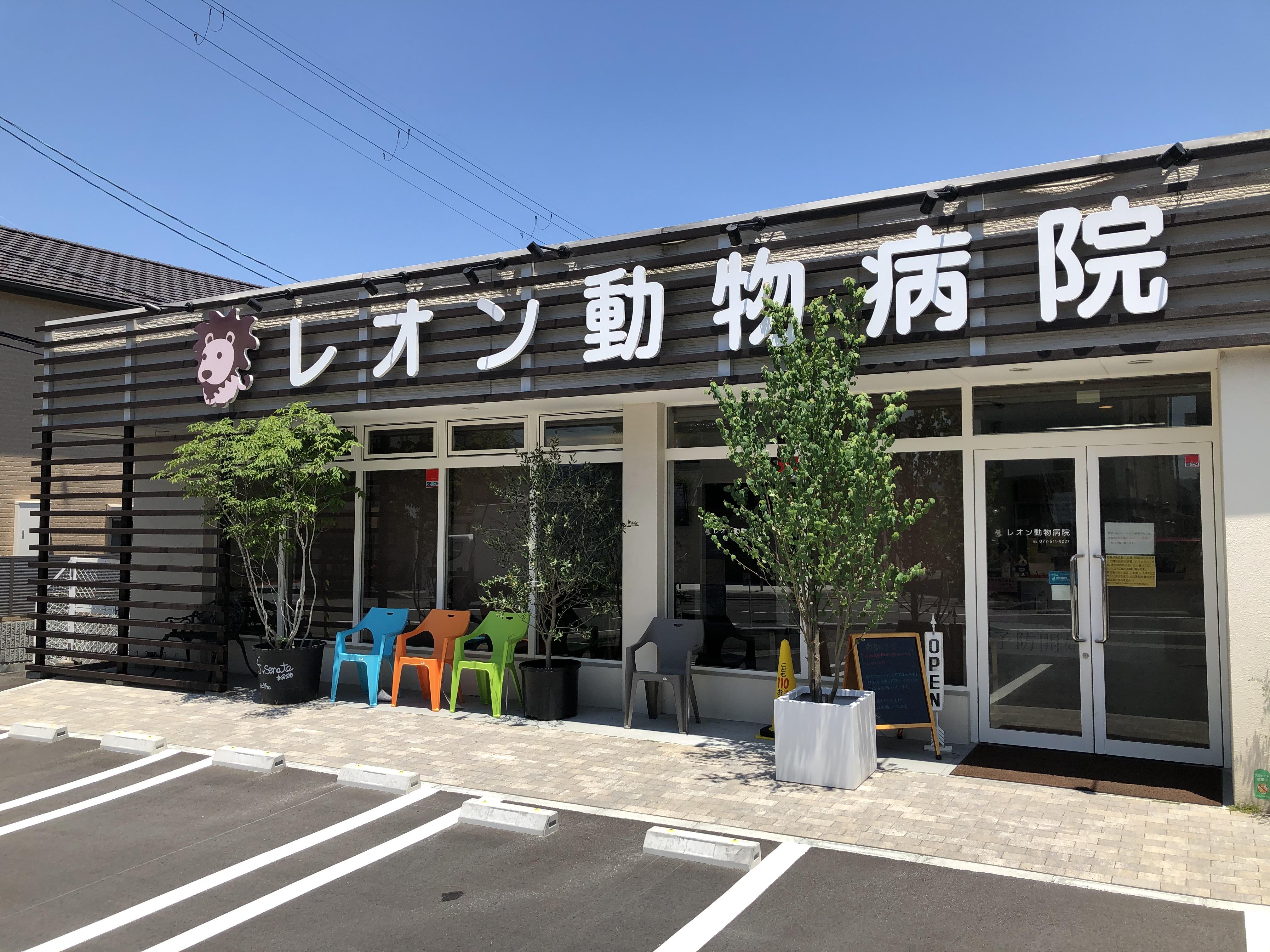 商店街の中に｜Alcocca名古屋 愛知 （アルコッカ 名古屋