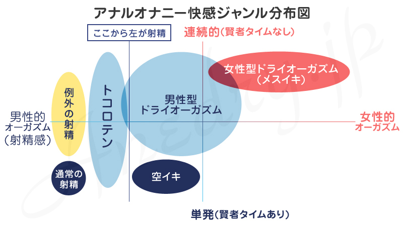 アナル初心者に朗報】3ステップでドライオーガズム ～シンエネマ実践レビュー - メンズサイゾー