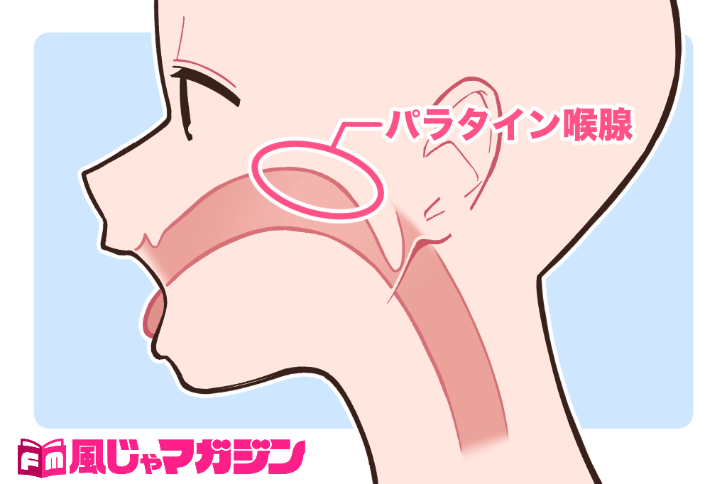 風俗エステでもできる？イラマチオのやり方や注意点を解説！｜エステの達人マガジン