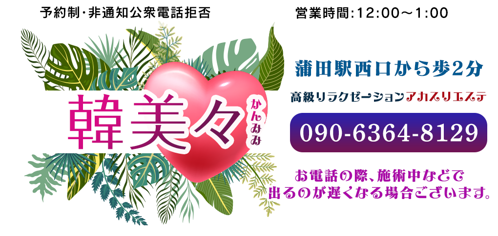 蒲田駅東口メンズエステ【ひまわり】｜あかすりリラクゼーション (東京都大田区蒲田）