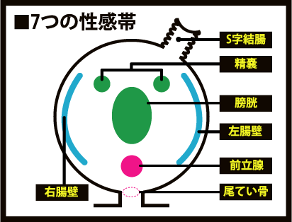 前立腺マッサージとはどんなプレイ？ 風俗エステ嬢がやり方を詳細解説 | シンデレラグループ公式サイト