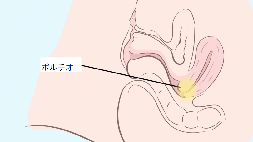 Gスポット開発とは？場所と位置の見つけ方 - 夜の保健室