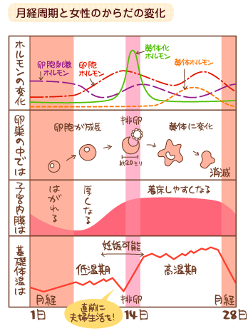 何回めのデートならOK? 付き合い始めた彼氏とエッチするタイミング | 大学入学・新生活