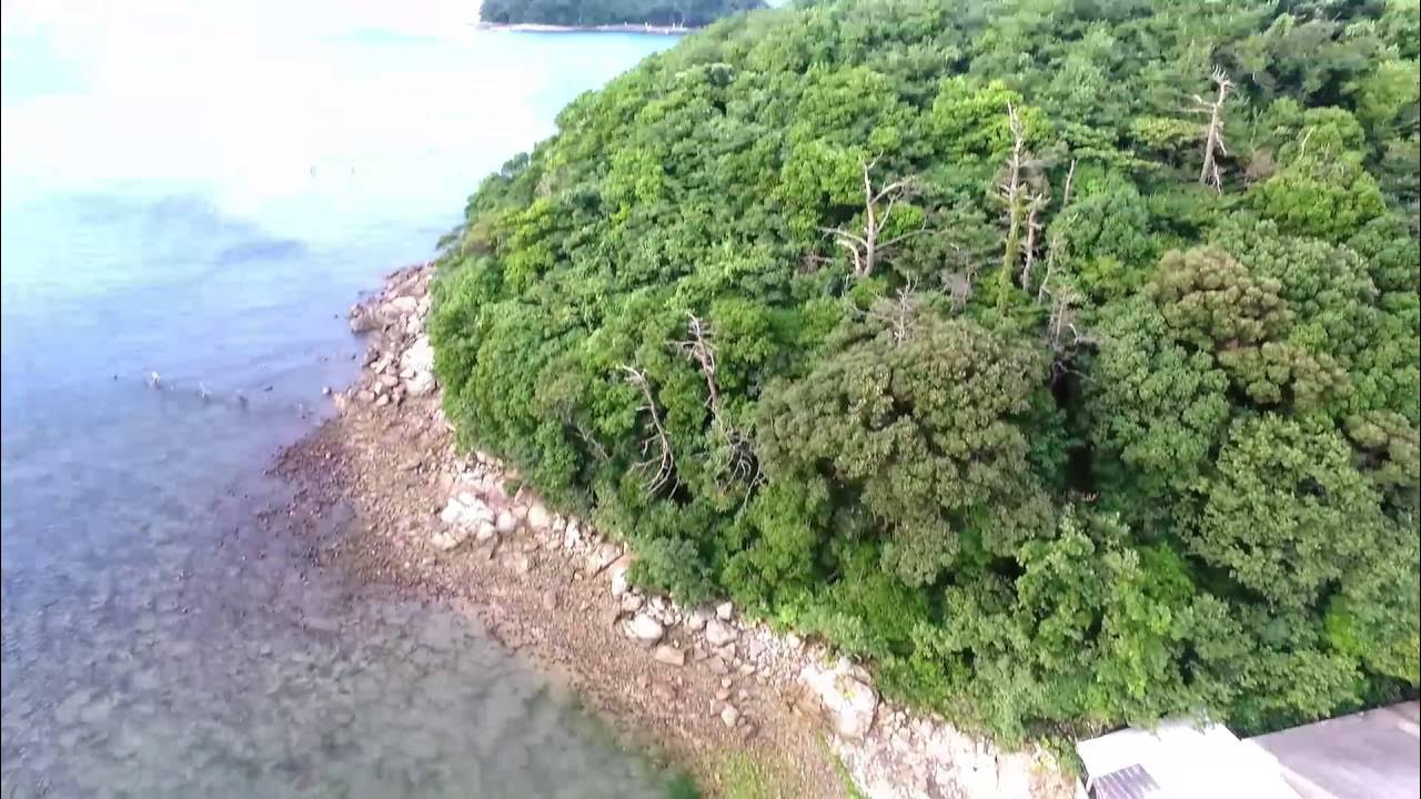 追憶の海上観光 うさぎ島と猿ヶ島は、今いずこ |