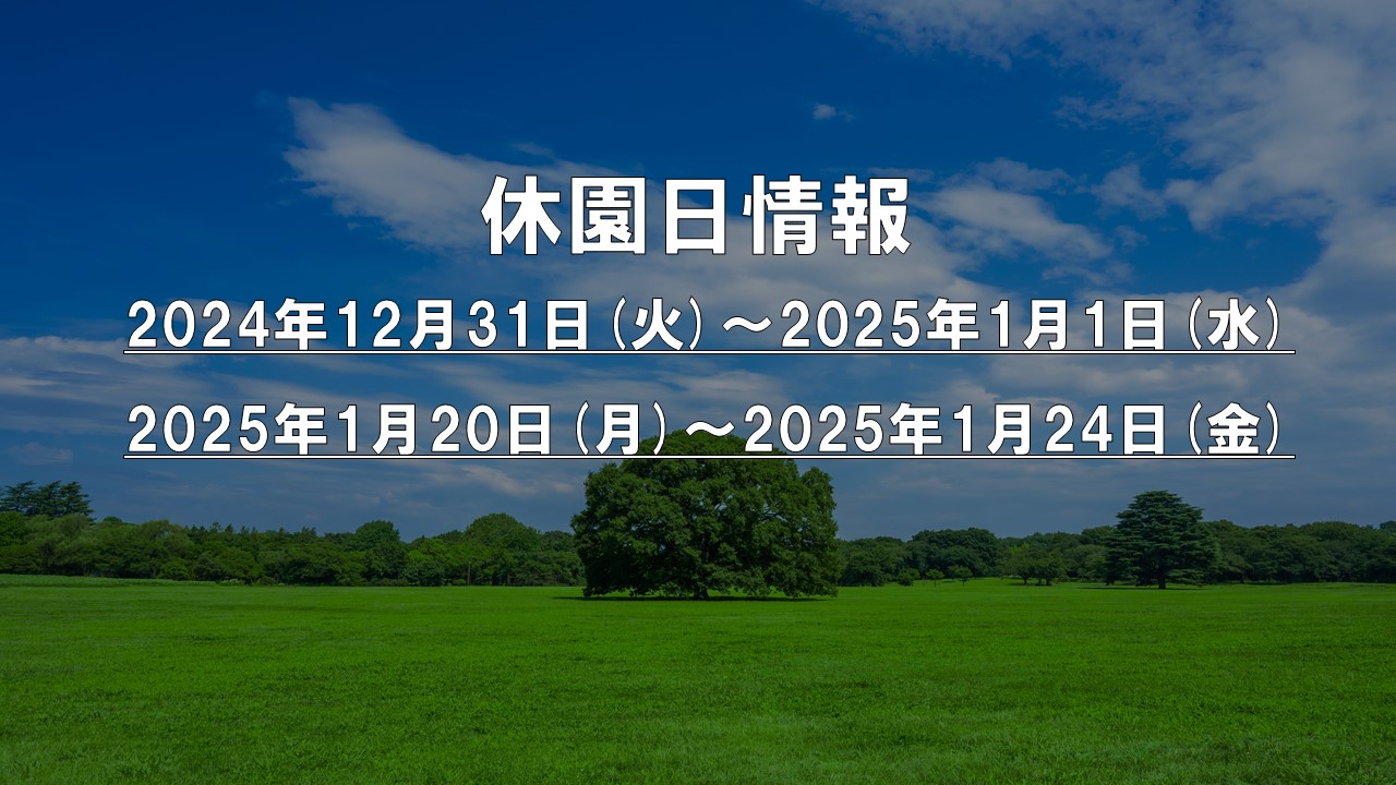 ダンシングおっぱいTEAM爆/宮城県/仙台・国分町/デリヘル | ビッグデザイア東北