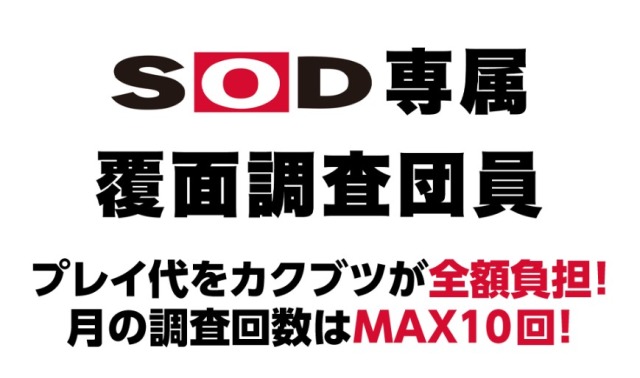 朗報】年間400万も風俗をタダで使える！覆面調査団を募集中