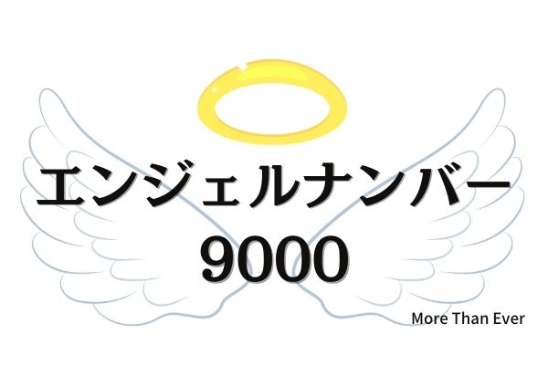 飛鳥ナンバー人気 松戸と接戦 新ご当地ナンバー17地域の図柄 「飛鳥3110」で取る人も |