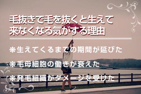 毛抜きで毛を抜き続けると毛根が死んで脱毛効果がある？脱毛の嘘と本当 ｜ エピステ