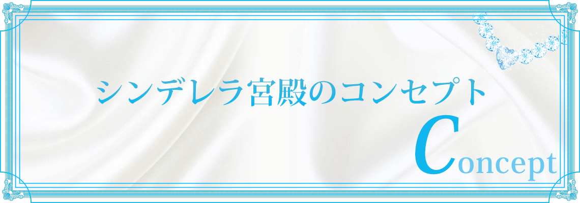 風俗店のコンセプトについてそれぞれの特徴を解説していきます-キラキラ大阪