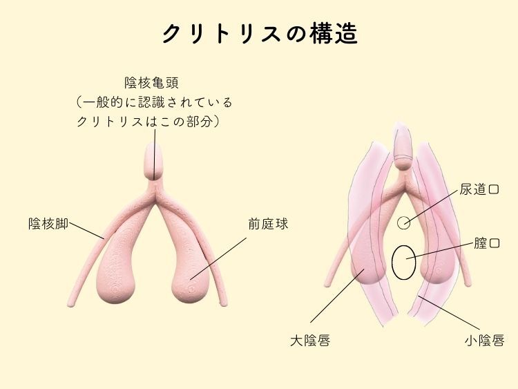 iroha(イロハ) インティメートケアトライアルセットの悪い口コミ・評判は？実際に使ったリアルな本音レビュー11件 | モノシル