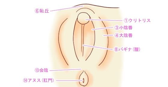 イキすぎ注意！元AV男優が絶対にイカせるクリトリスの攻め方を徹底解説 | 風俗部