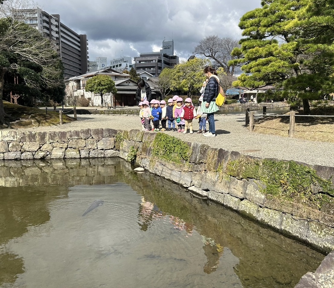 [熊本ぼっち飯]五郎八(いろは)超絶旨いホルモン！☆熊本市水前寺