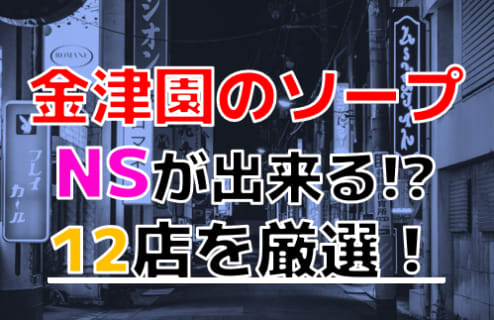 岐阜・金津園でnn・nsできると噂のソープを紹介！口コミや料金からおすすめ店舗を解説 - 風俗本番指南書