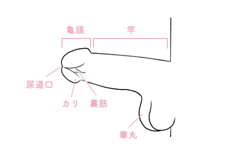 フェラでイカせる３STEP！その3.バキュームフェラのやり方