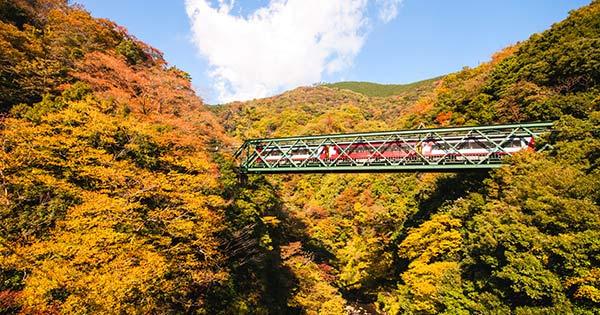 飛田給駅に近いビジネスホテル 【Yahoo!トラベル】