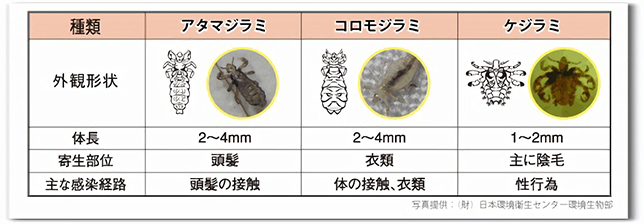 世界最強風俗ドイツのFKKサウナクラブとは？ | ドイツのフランクフルトにあるFKKサウナクラブに行ってきた2！