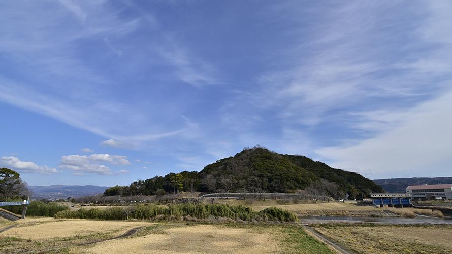 あきる野ケヅメ牧場・リクガメのグレート君がテレビ番組に－大食漢ぶり」紹介 - 西多摩経済新聞