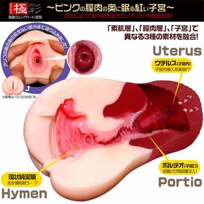 清楚妻のネトラセAV妊娠性活（一水社）の通販・購入はフロマージュブックス | フロマージュブックス